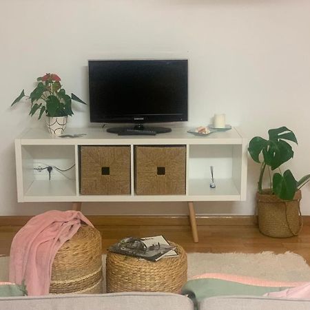Apartamento Con Encanto Y Mucha Luz ビリャビシオサ エクステリア 写真