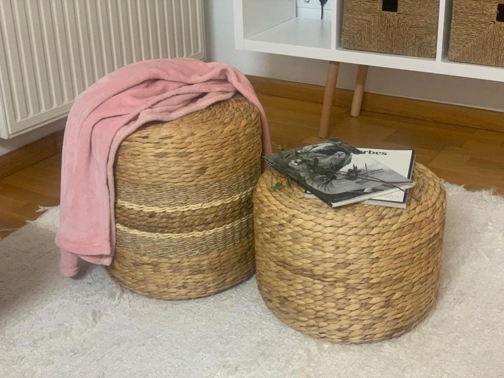 Apartamento Con Encanto Y Mucha Luz ビリャビシオサ エクステリア 写真